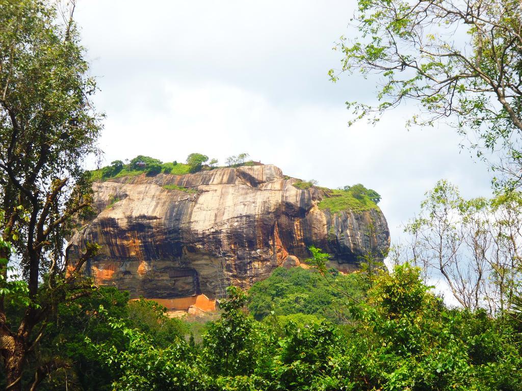 The Nilmini Lodge Sigiriya Exterior photo